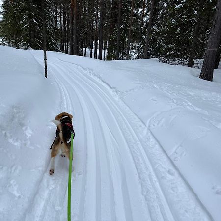 Knappgarden Särna Екстериор снимка