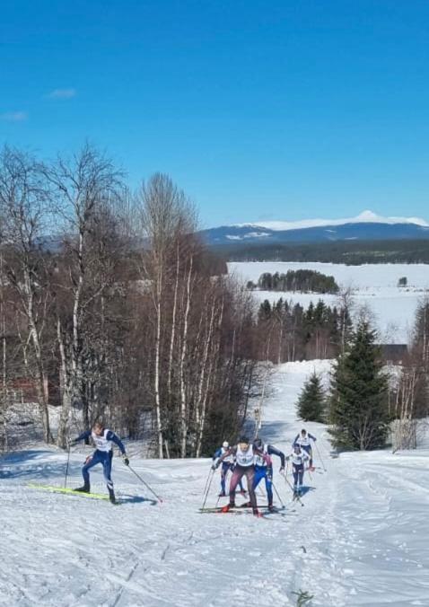 Knappgarden Särna Екстериор снимка