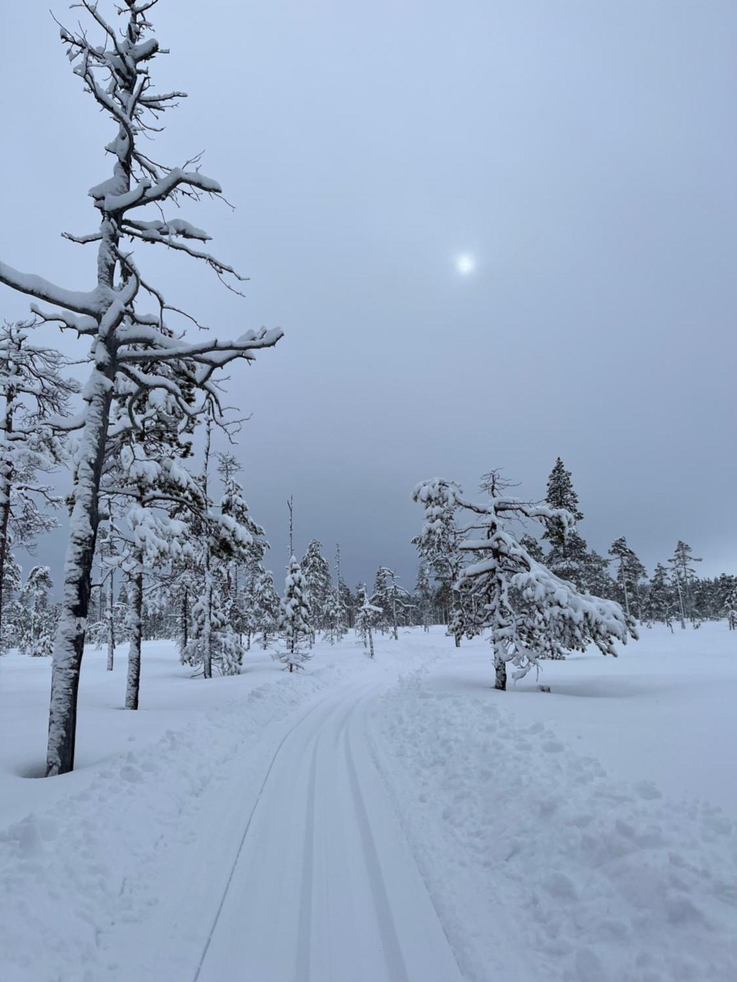 Knappgarden Särna Екстериор снимка