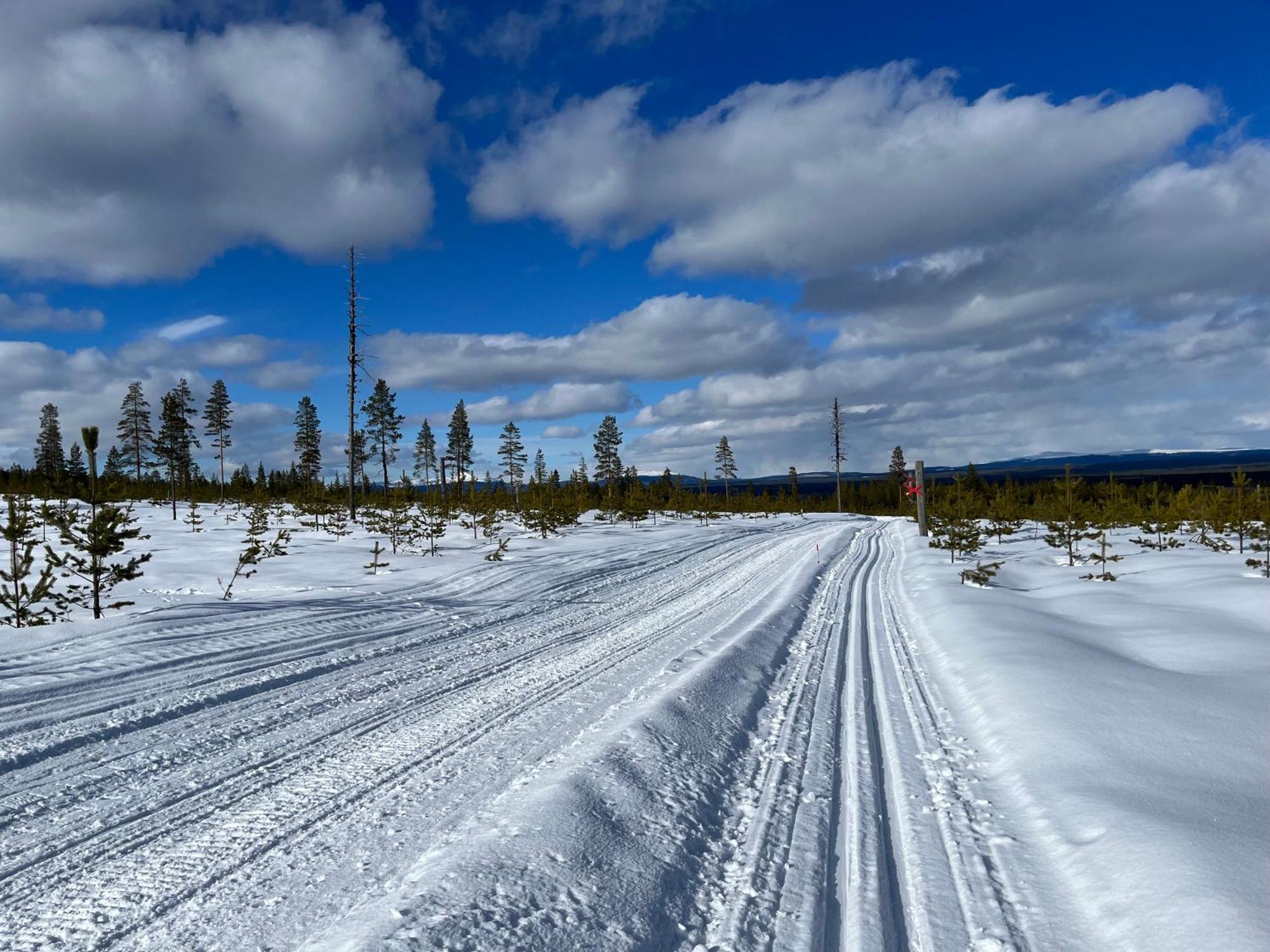 Knappgarden Särna Екстериор снимка