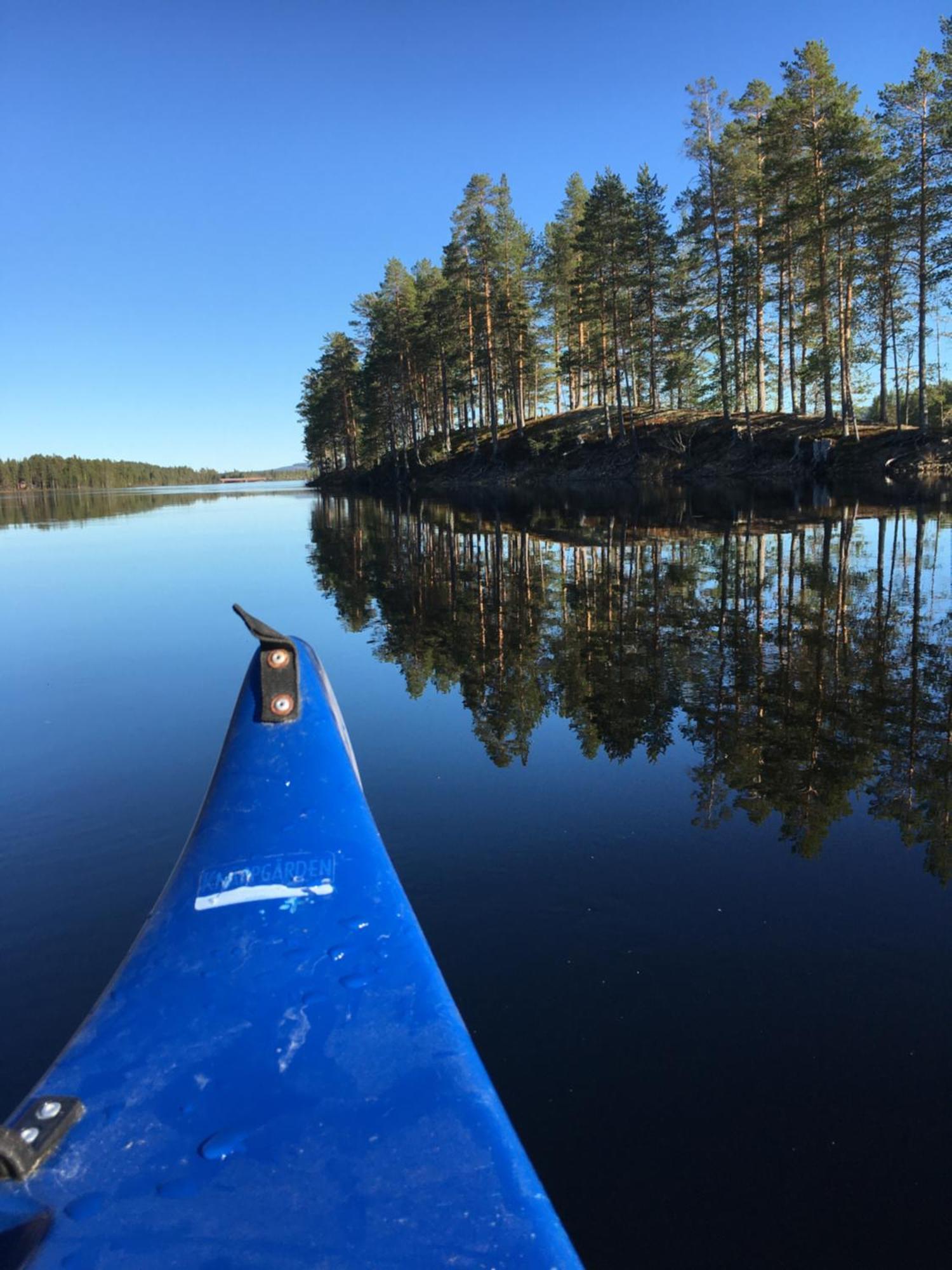 Knappgarden Särna Екстериор снимка