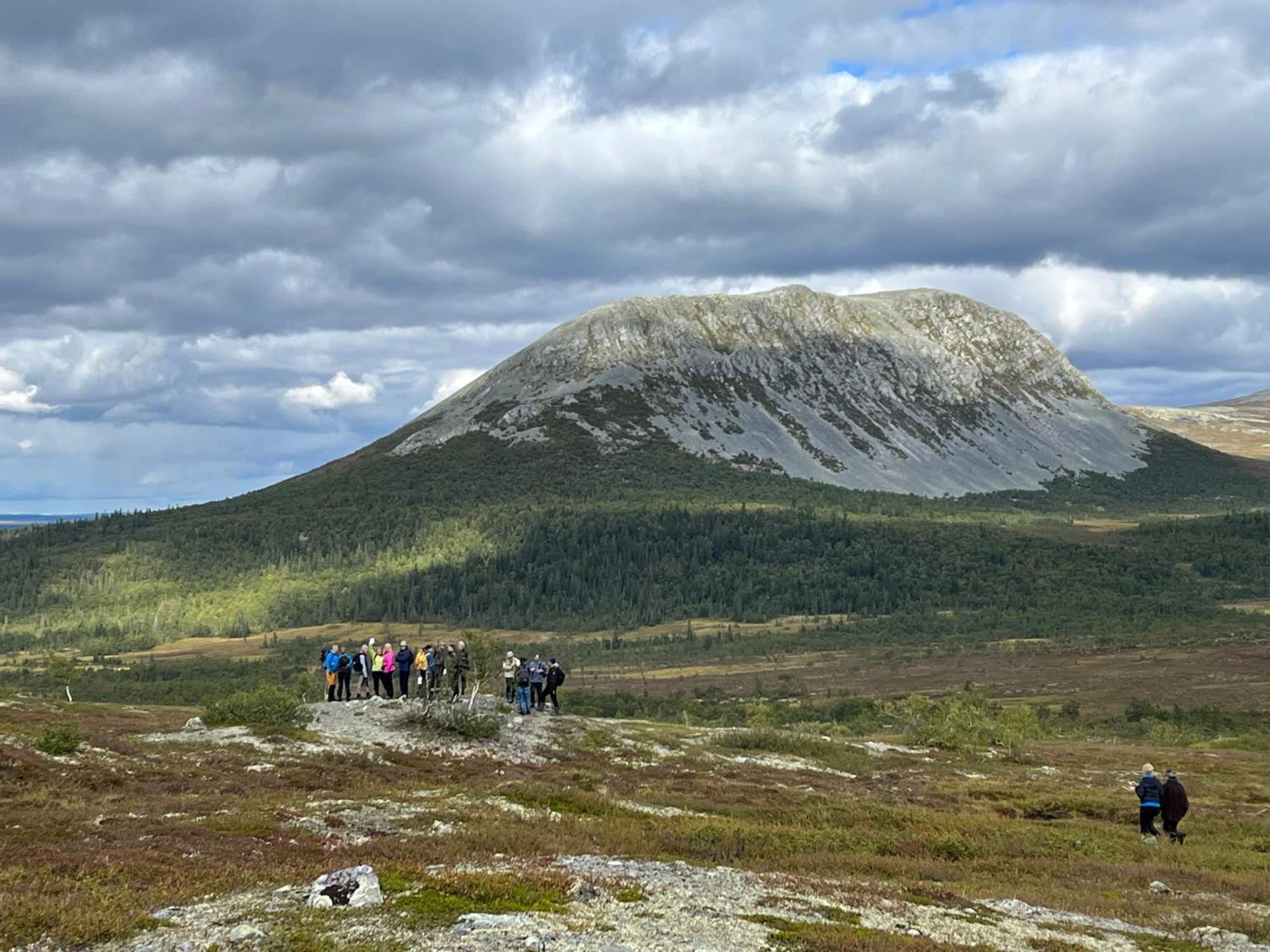 Knappgarden Särna Екстериор снимка