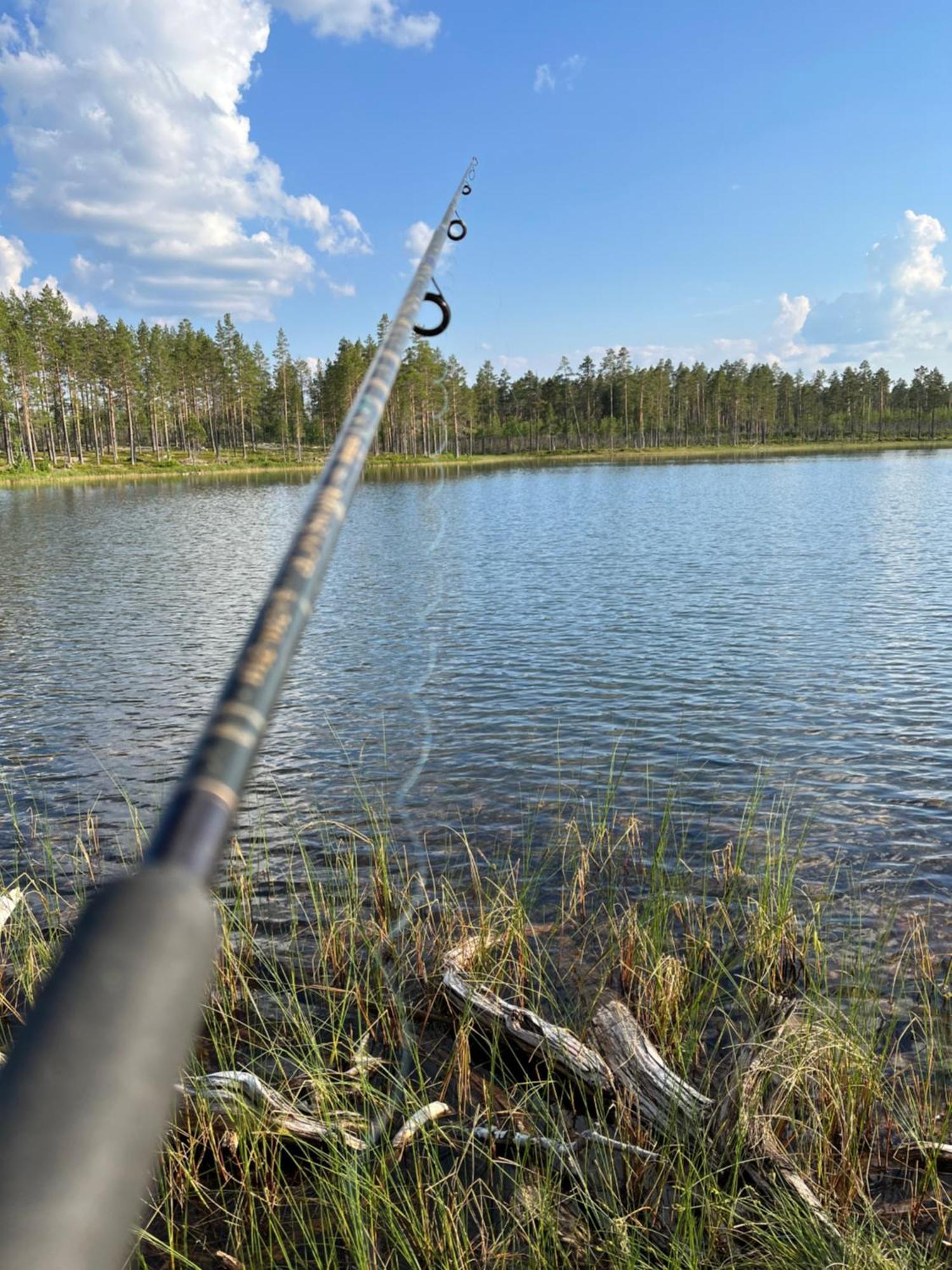 Knappgarden Särna Екстериор снимка