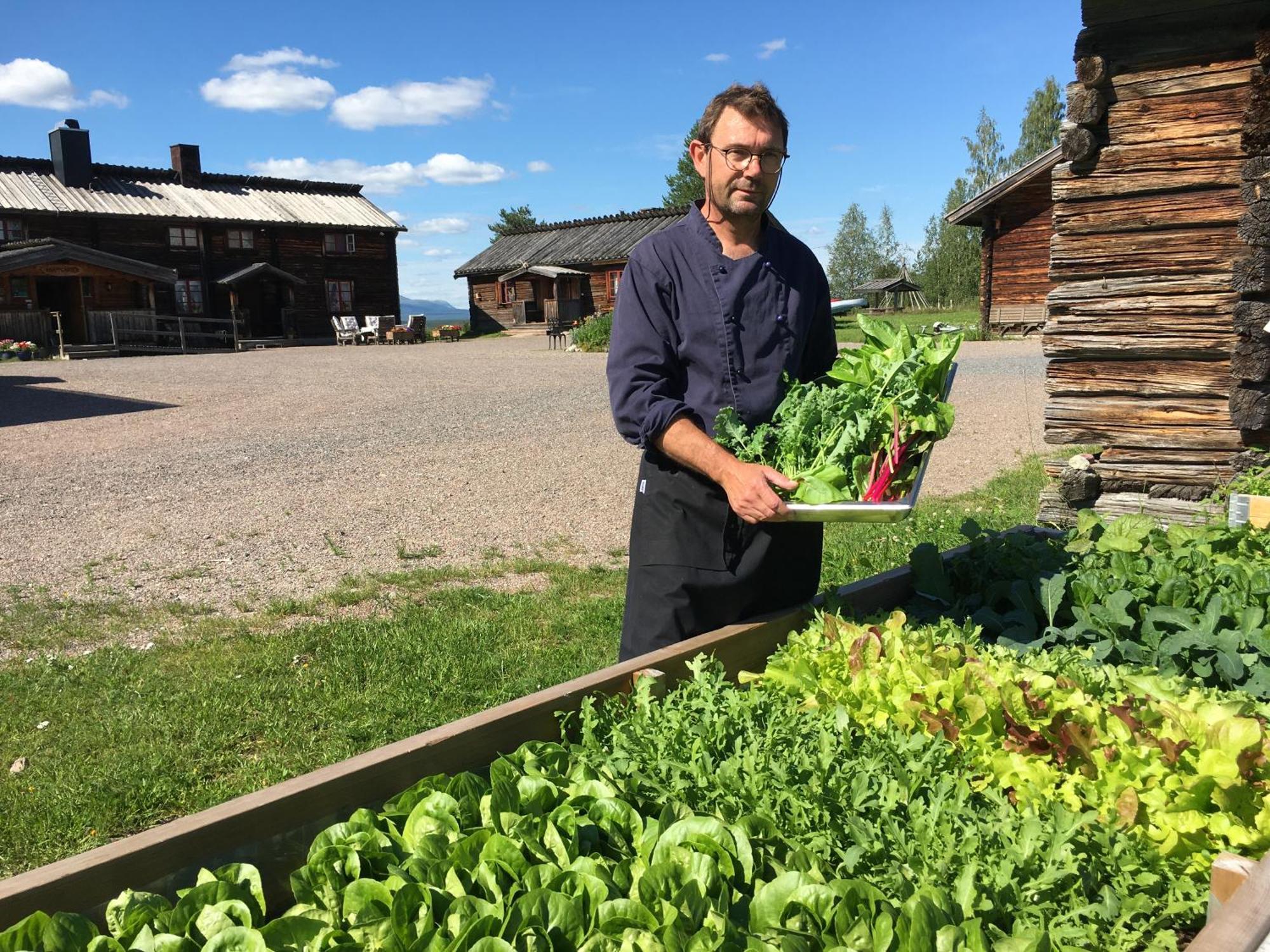 Knappgarden Särna Екстериор снимка