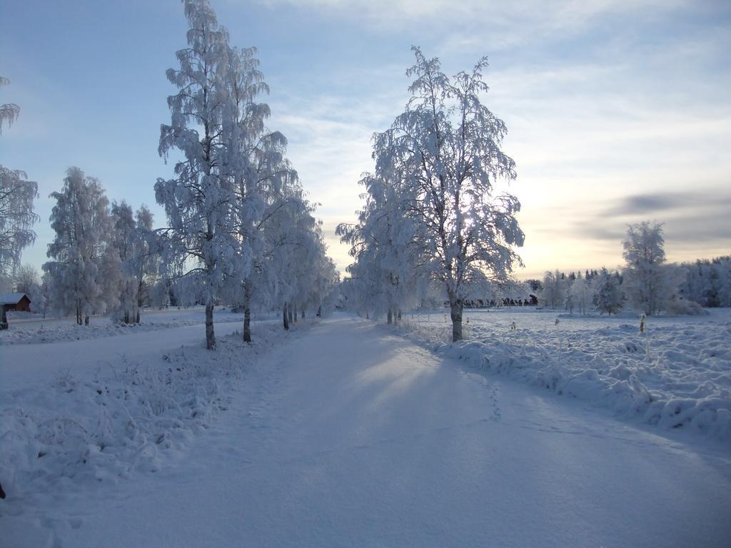 Knappgarden Särna Екстериор снимка