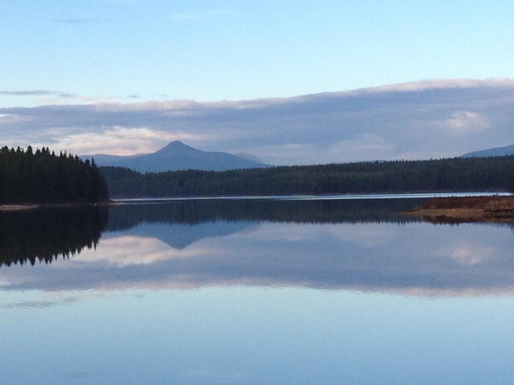 Knappgarden Särna Екстериор снимка